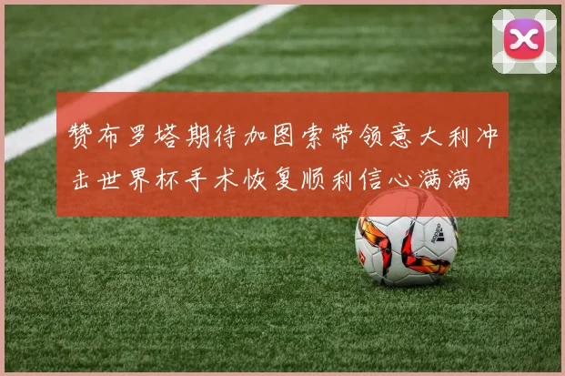 赞布罗塔期待加图索带领意大利冲击世界杯手术恢复顺利信心满满