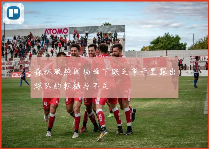 森林狼热闹场面下缺乏华子显露出球队的粗糙与不足