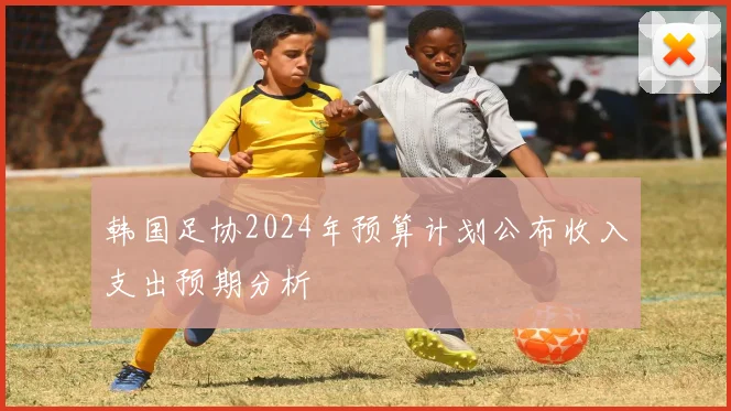 韩国足协2024年预算计划公布收入支出预期分析